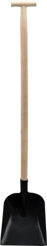 2835.jpg