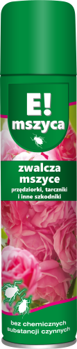 12554.png